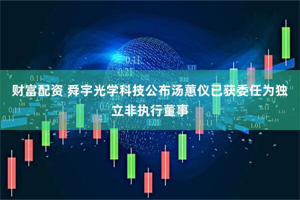 财富配资 舜宇光学科技公布汤蕙仪已获委任为独立非执行董事